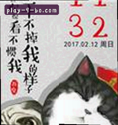 赵刚